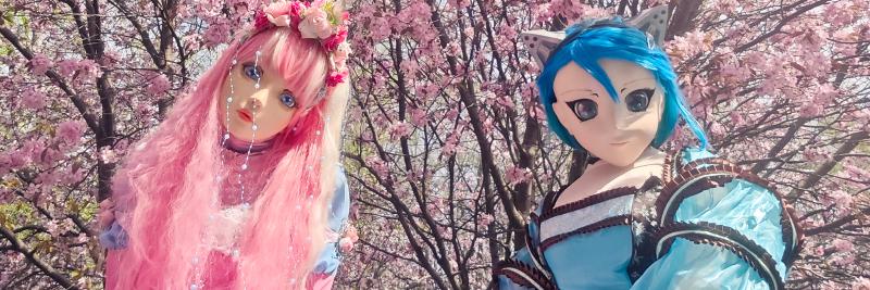 Featured image of post Watching sakura blooming at Krestovskiy